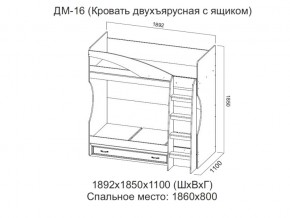 ДМ-16 Кровать двухъярусная с ящиком в Кыштыме - kyshtym.магазин96.com | фото