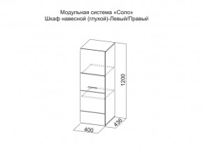 Шкаф навесной (глухой) Левый в Кыштыме - kyshtym.магазин96.com | фото