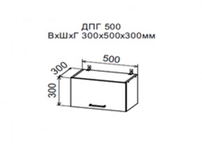 Шкаф верхний ДПГ500 горизонтальный в Кыштыме - kyshtym.магазин96.com | фото