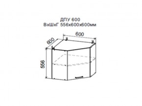 Шкаф верхний ДПУ600 угловой в Кыштыме - kyshtym.магазин96.com | фото